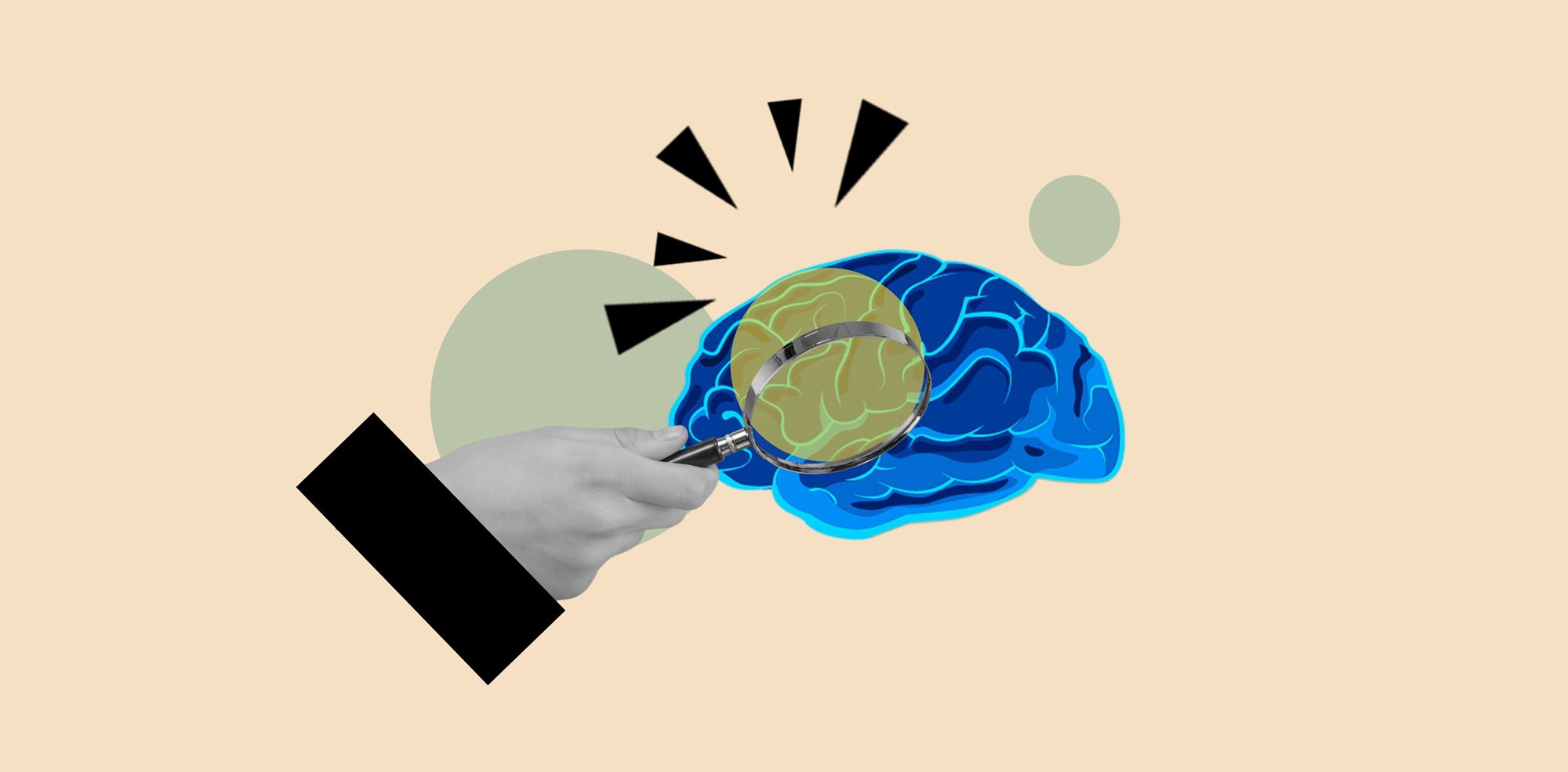 Op reis door het brein: van neuronen tot gedrag